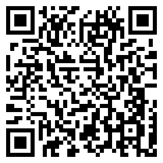 Thief Puzzle 4